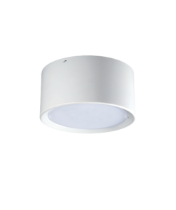 den-downlight-cu20
