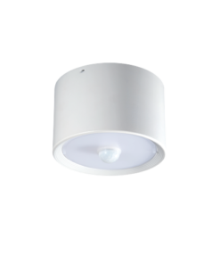 den-downlight-cus20